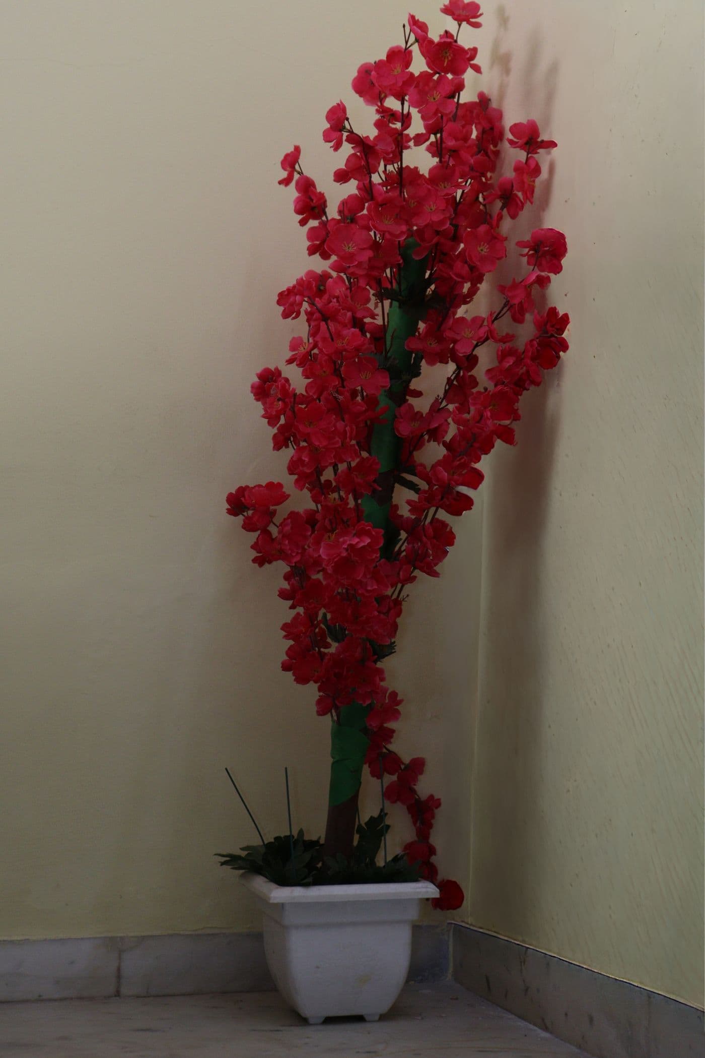 Crimson Blossom Tree