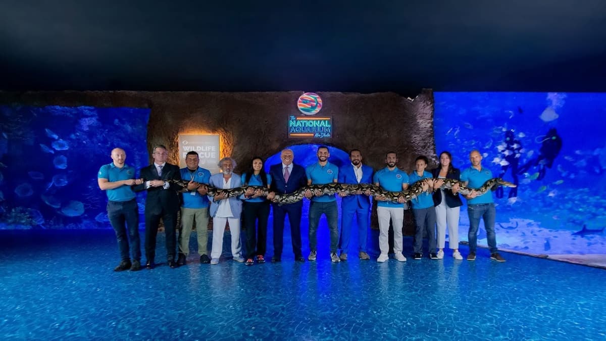 Bu Tinah Glass Bottom Dhow Cruise for Two at The National Aquarium Abu Dhabi
