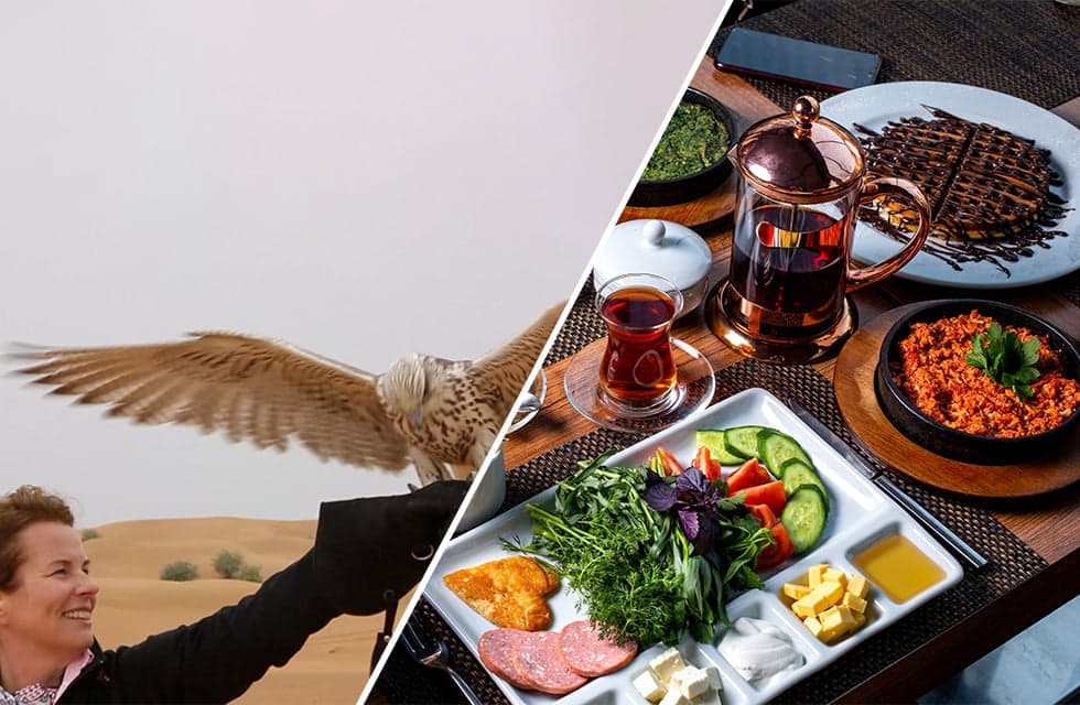 Falconry Experience with Gourmet Breakfast