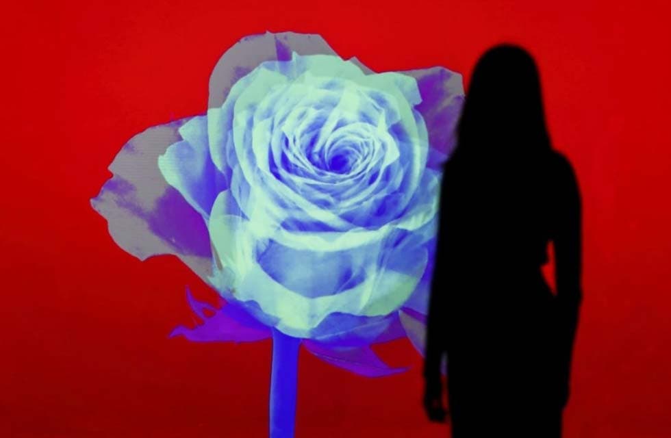 Immersive Art Experience Access for One at Arte Museum in Dubai Mall