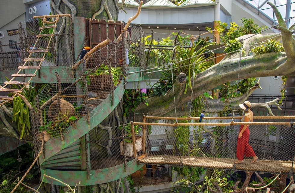Immersive The Green Planet Day Pass Experience