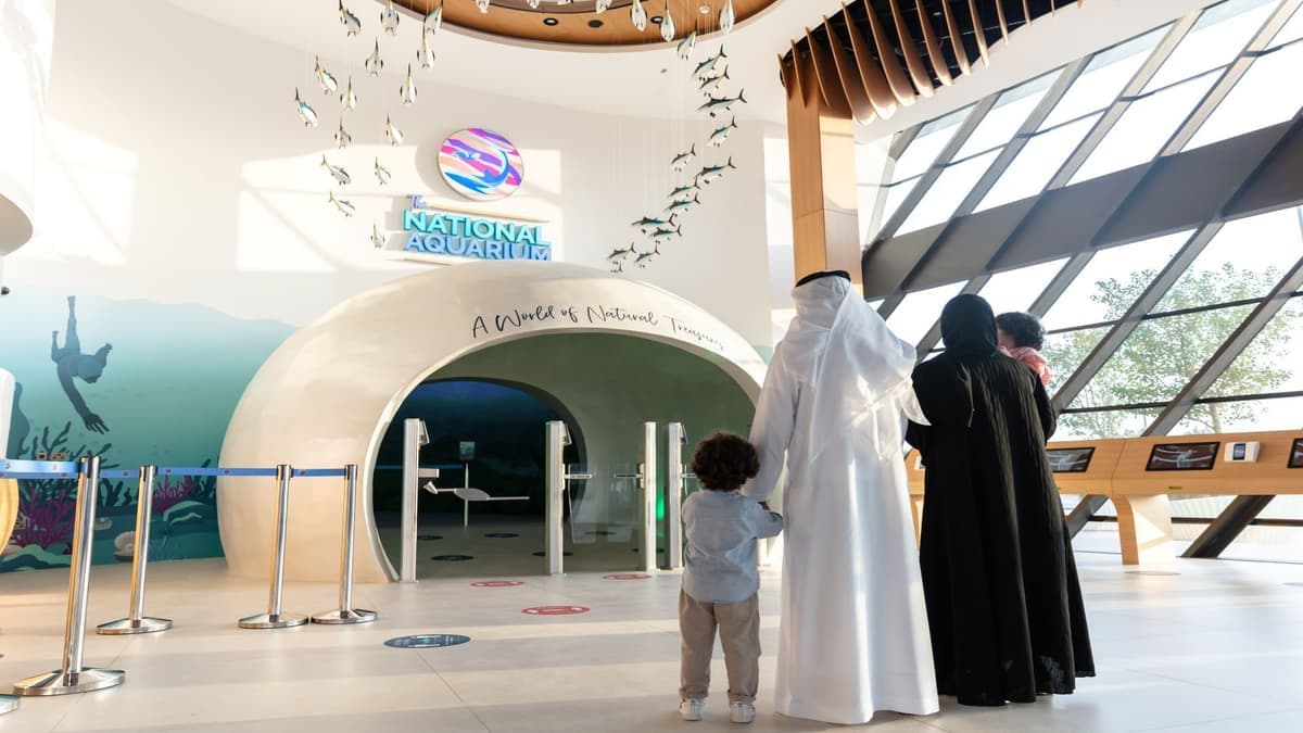 Marine Adventure Tickets for Family of Four: National Aquarium