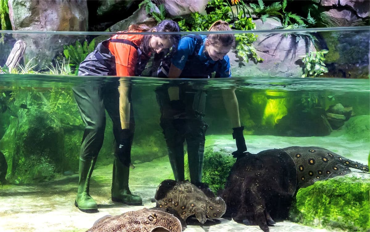 Marine Adventure Tickets for Two at National Aquarium Abu Dhabi