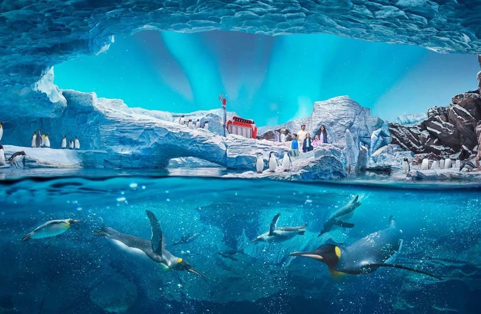 SeaWorld Abu Dhabi General Admission for Two