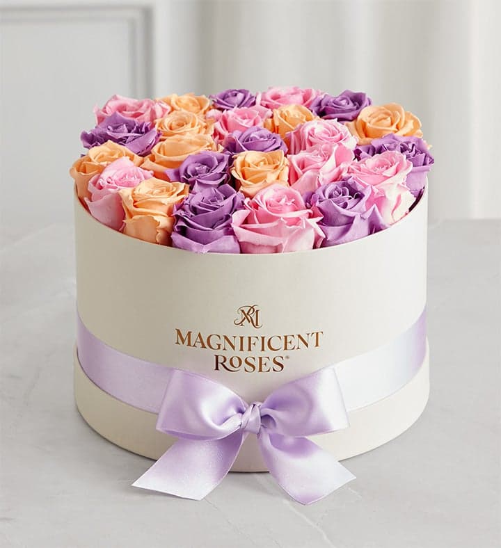 Preserved Roses — Sorbet