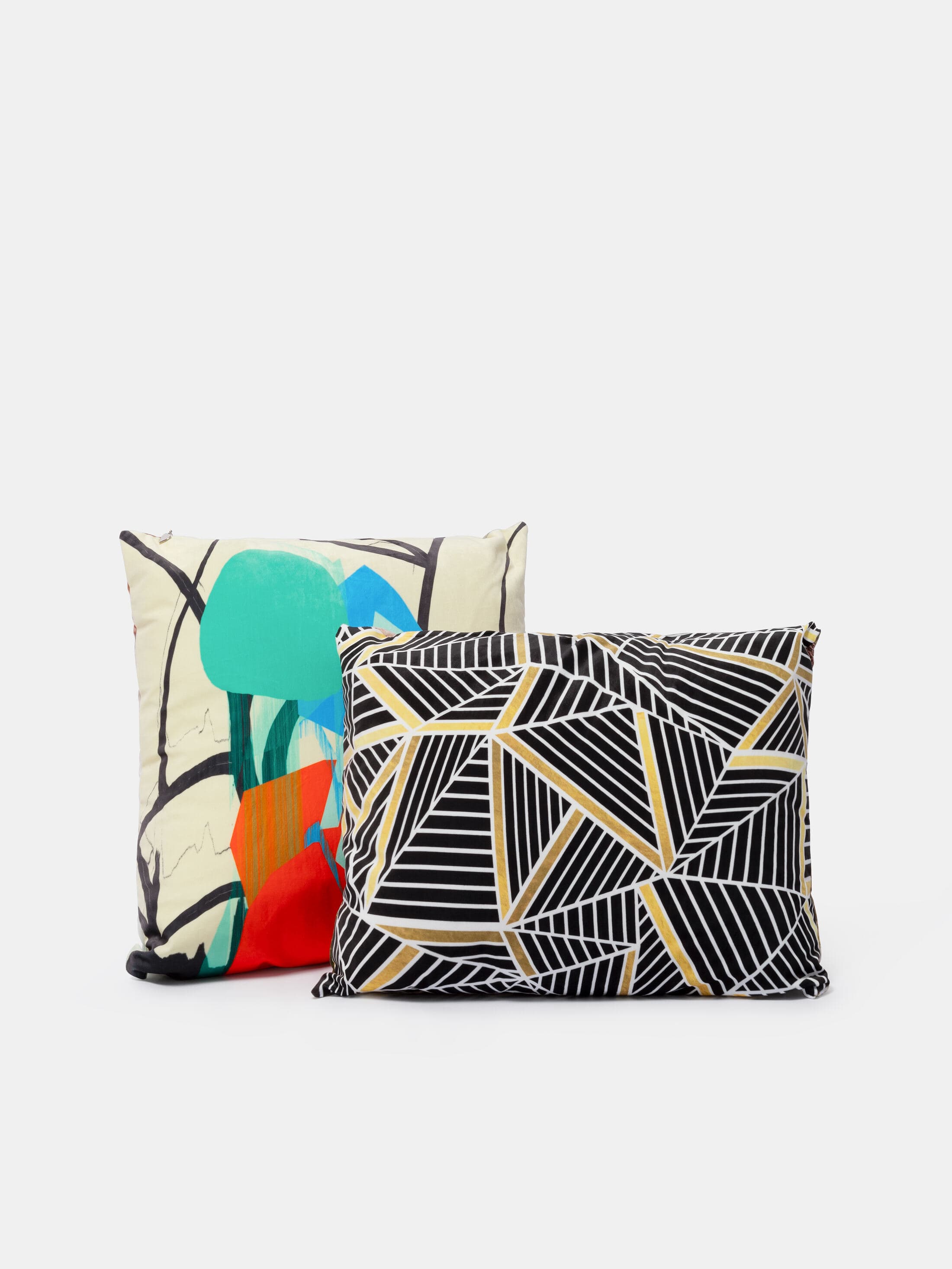 Statement Cushion Pair