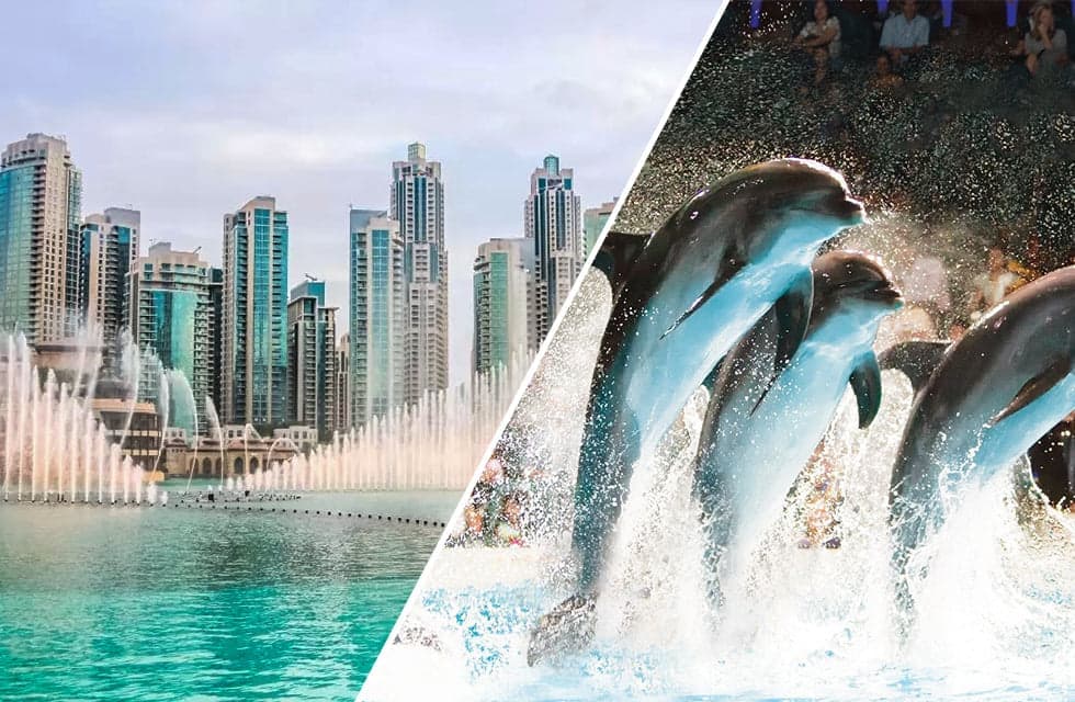 One Night Hotel Stay in Dubai with Dolphinarium Tickets for Two