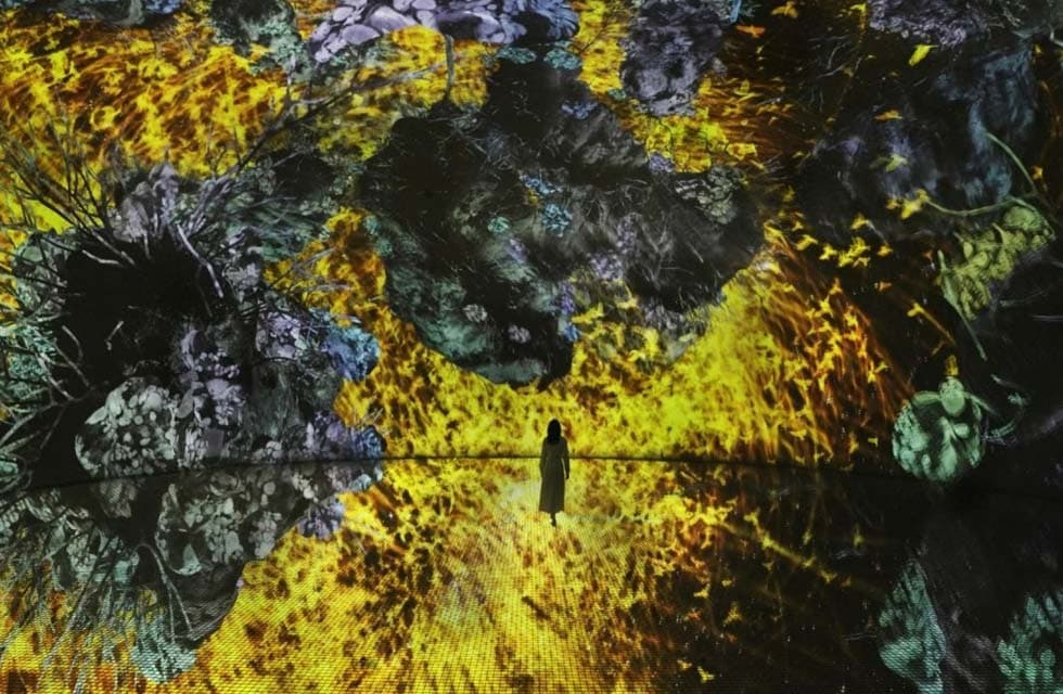 Immersive TeamLab Phenomena Abu Dhabi Experience for One