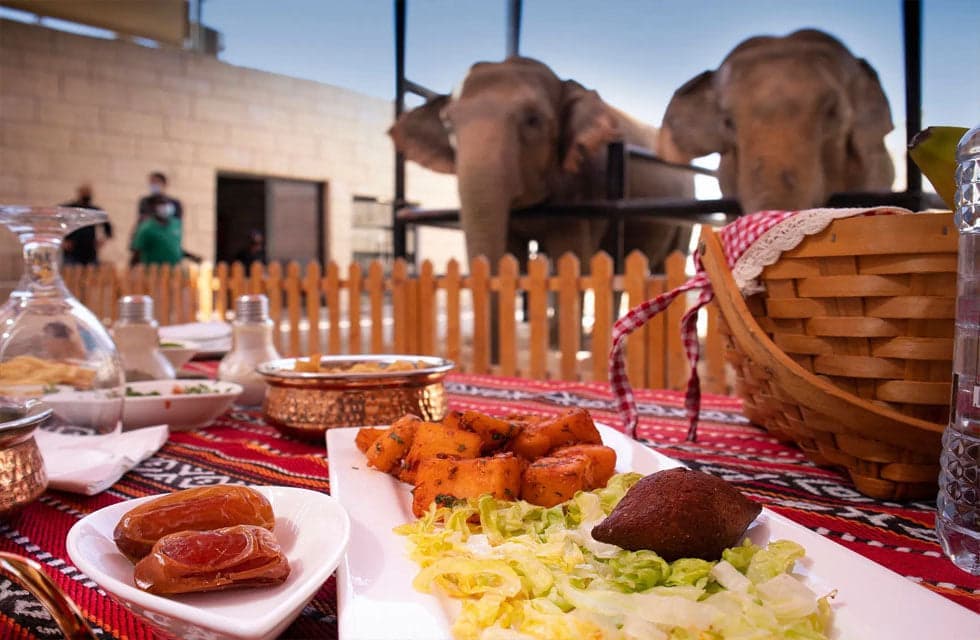 Emirates Park Zoo & Resort One-Night Stay with Zoo Access, Breakfast and Dinner with Wild Animals